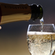 Image for article titled New U.S. Dietary Guidelines Ignore Scientists' Advice on Alcohol Limits